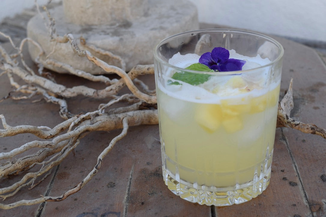 TGIF 4 TSP Culinary Opening Night Nomad Chic