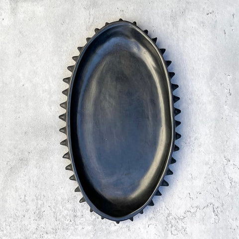 Dish